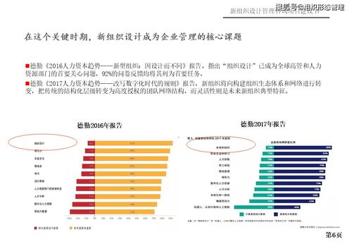 新組織設計管理與旅游開發項目策劃咨詢建議書